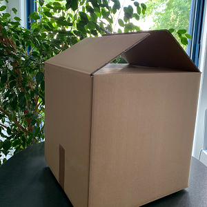 Email - DE - Umzugsbox